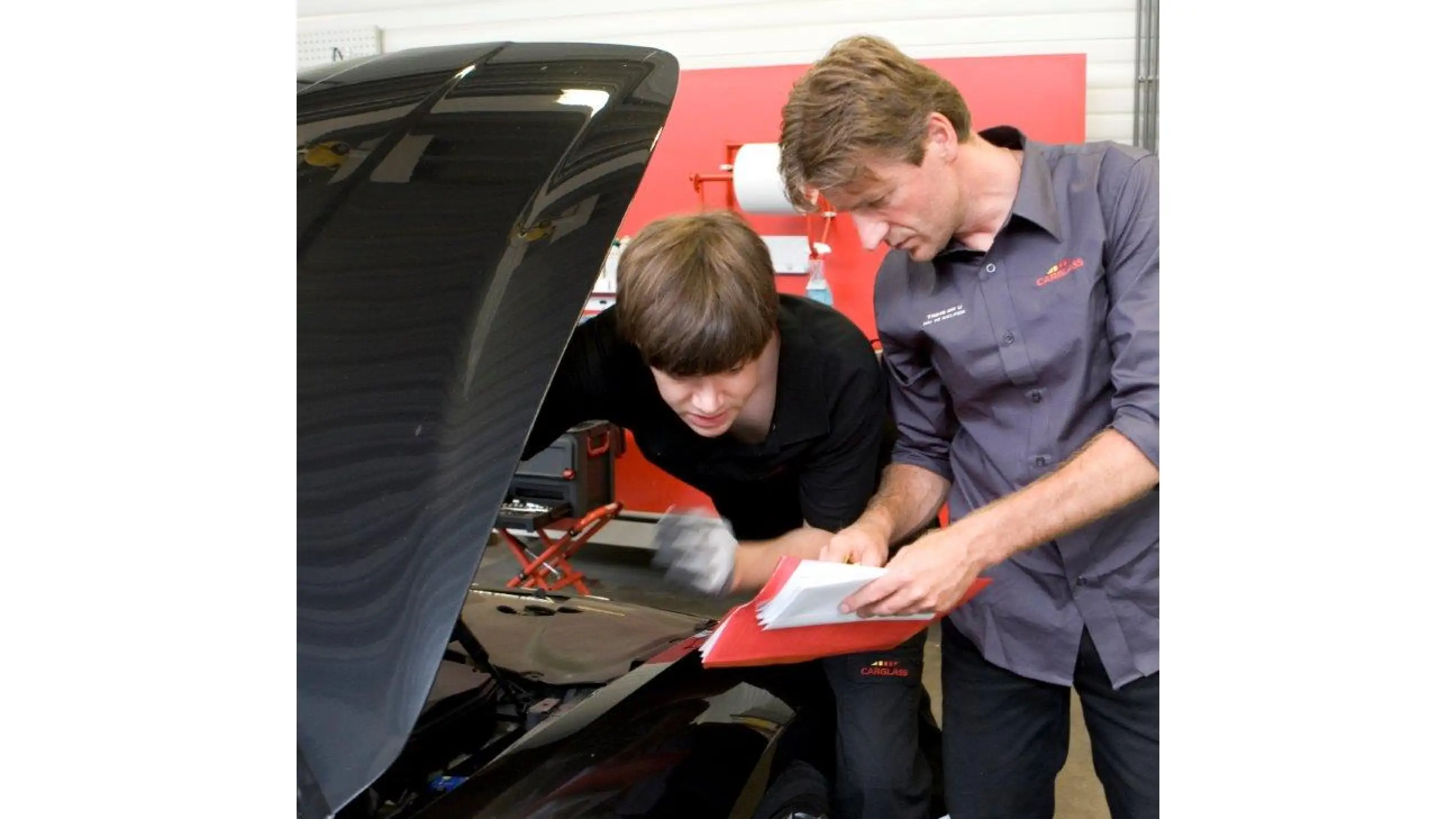 Branch Image
