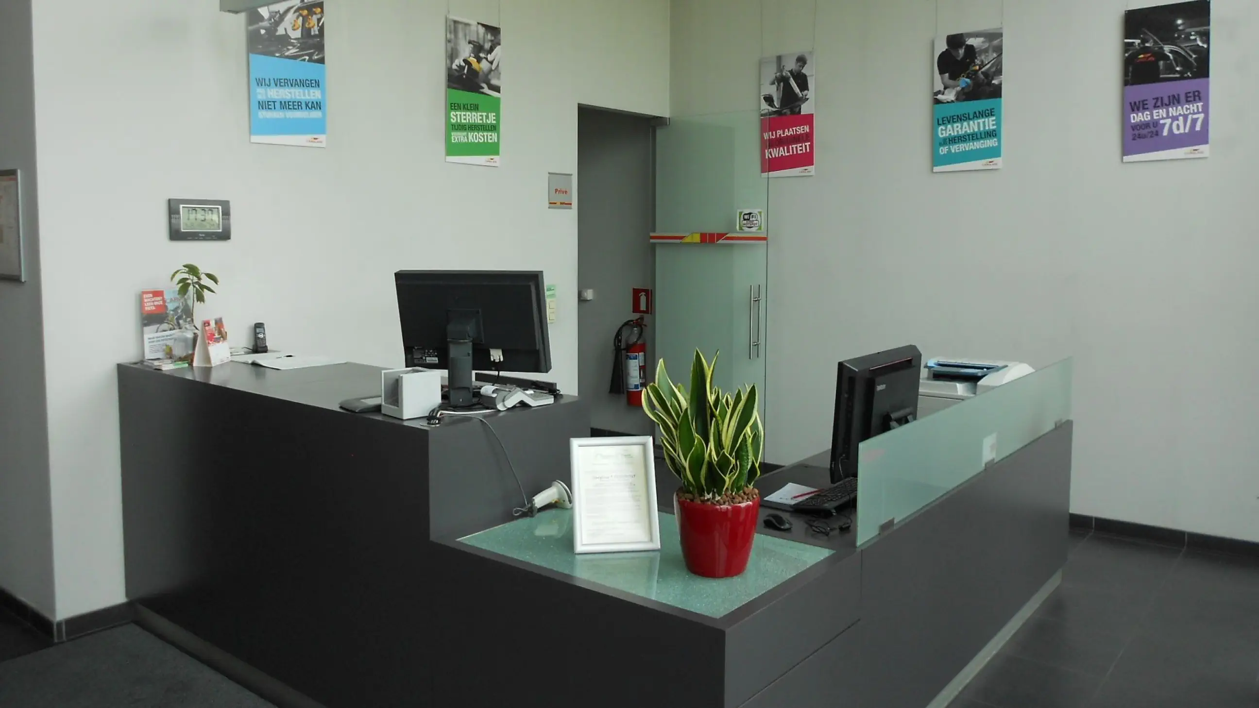 Branch Image